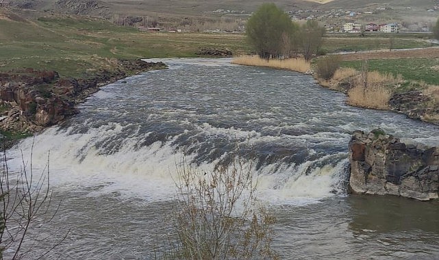 İnci kefali balığının avlanma yasağına az kaldı
