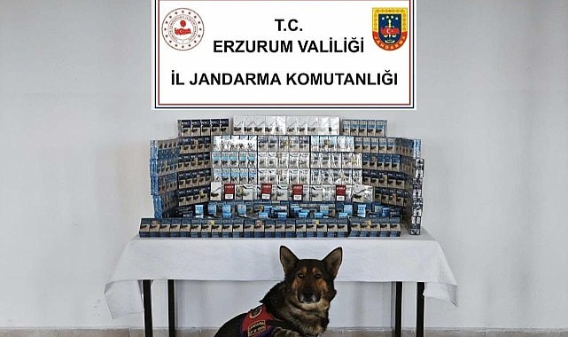 Jandarmadan kaçakçılara geçit yok