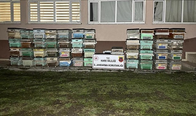Kağızman’da arı kovanı hırsızları yakalandı