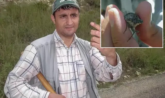 Keşfedilen böcek türüne eşinin ismini verdi, ortalık karıştı