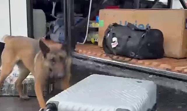 Narkotik madde arama köpeği HERA’dan kaçamadılar