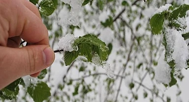 Tarım Müdürlüğü çiftçiyi uyardı!