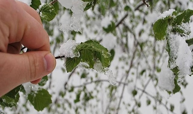 Tarım Müdürlüğü çiftçiyi uyardı!