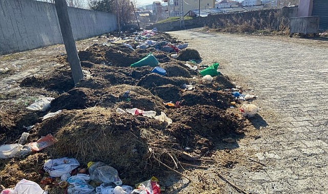 Uzmanlar Uyardı: yollardaki pislikler bulaşıcı hastalıklara neden olabilir