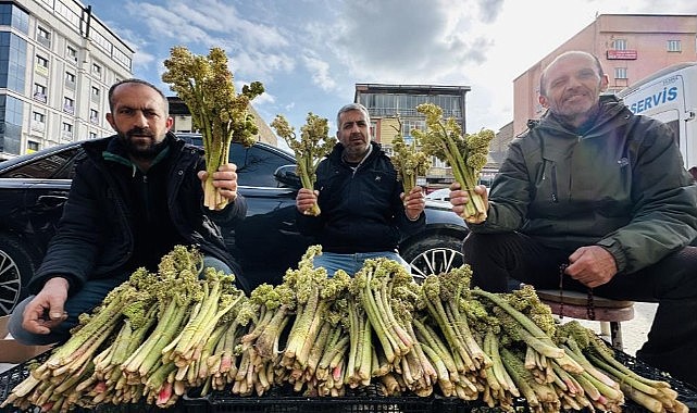 Yayla muzunun destesi 100 TL'den satışa çıkarıldı