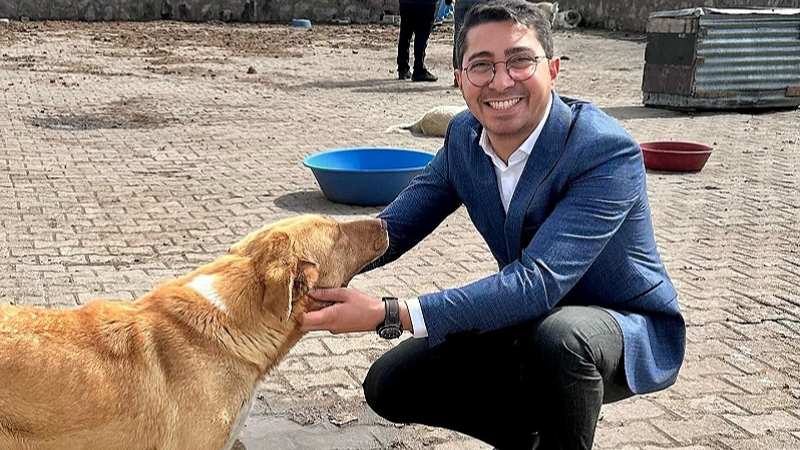 Damal’da sokak hayvanları aşılandı