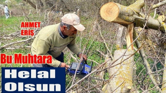 Muhtardan köy mezarlığına vefa nöbeti