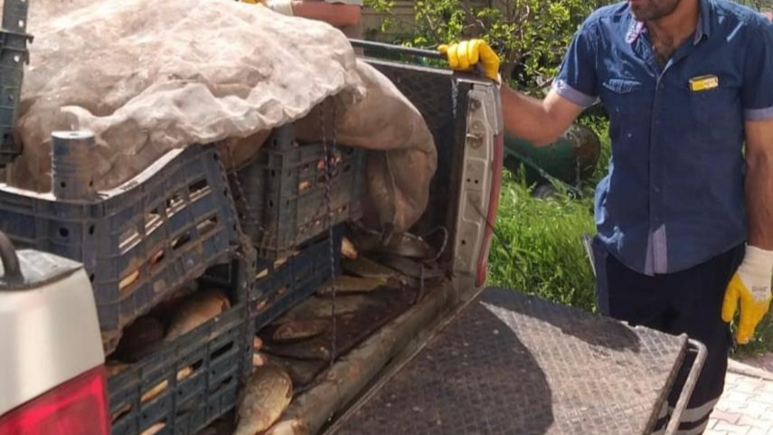 Elazığ’da kaçak avlanan 700 kilogram balık ele geçirildi