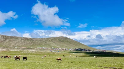 Yemler tükendi, bahar yetişti