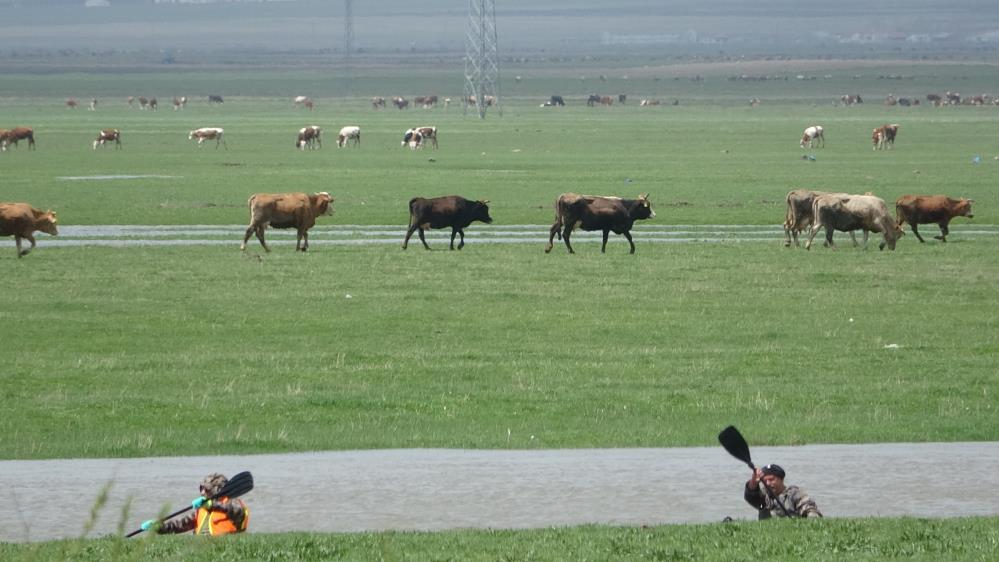 Kura Nehri'nde kano heyecanı