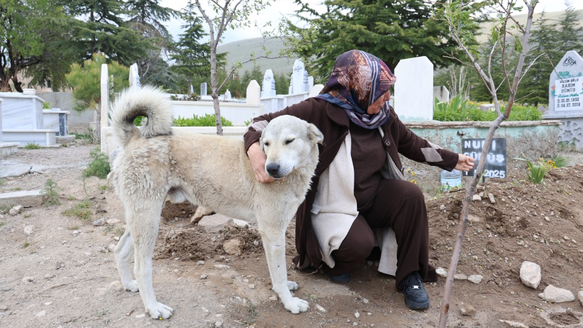 ’Garip’in vefası: Ölen sahibinin mezarından ayrılmıyor