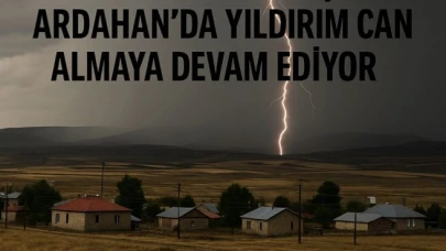 Vekillere paratoner çağrısı: Ardahan'da yıldırım çarpması can almaya devam ediyor