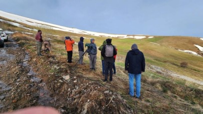 Posof’un kuş cenneti, uzmanların ilgi odağı oldu