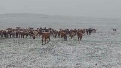 Kar yağışına yakalanan çobanlar zor anlar yaşadı