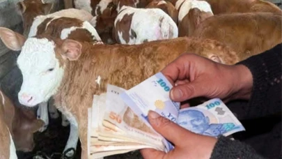 Çitçiler sıcak paraya kavuştu