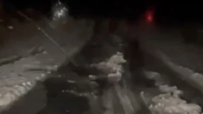Ardahan'da dolu etkili oldu