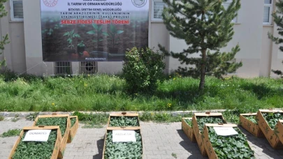 Kars'ta binlerce sebze fidesi dağıtıldı