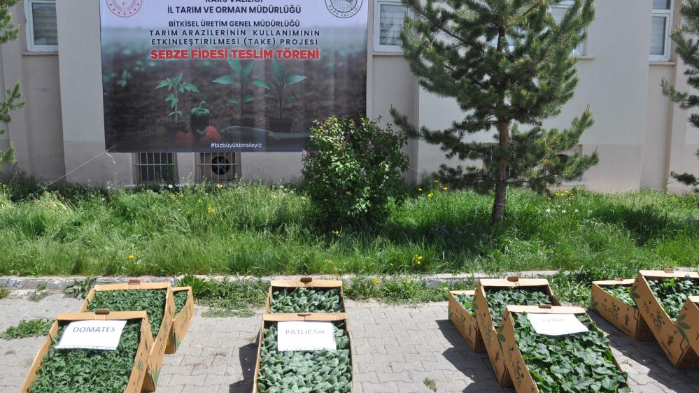 Kars'ta binlerce sebze fidesi dağıtıldı