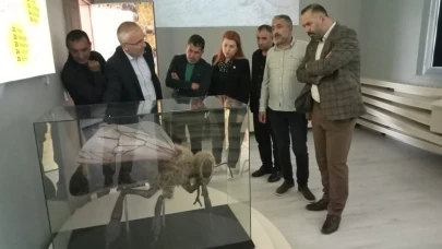 Başkan Aydın’dan arıcılık çalışmalarına destek ziyareti