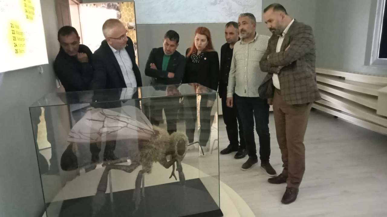 Başkan Aydın’dan arıcılık çalışmalarına destek ziyareti