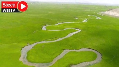 Ardahan’ın doğası haberlere konu oldu