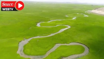 Ardahan’ın doğası haberlere konu oldu