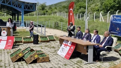 Posof'ta üreticiye sebze fidesi dağıtıldı