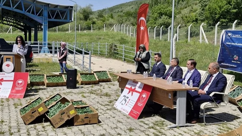 Posof'ta üreticiye sebze fidesi dağıtıldı