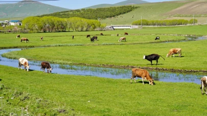 Baharın gelişiyle yaylalara göç başladı