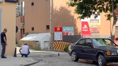 Erzincan’da yavru kargayı vatandaşlar kurtardı