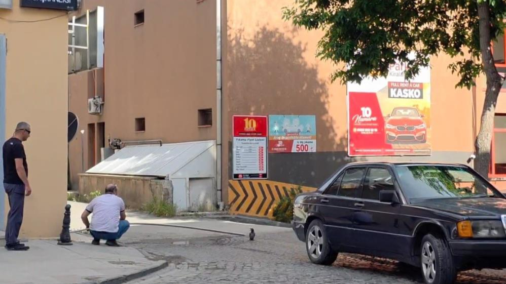 Erzincan’da yavru kargayı vatandaşlar kurtardı
