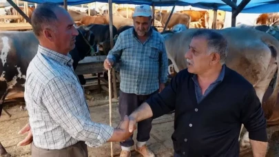 İşte kurban fiyatlarının en uygun olduğu 7 ilimiz