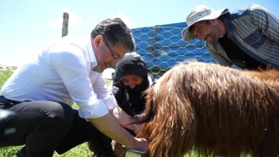 Bakan, süt sağan kadınlara eşlik etti keçi sağdı