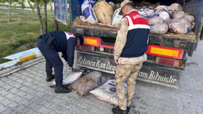 Van'da 22 ton 475 kilogram kaçak avlanmış balık ele geçirildi