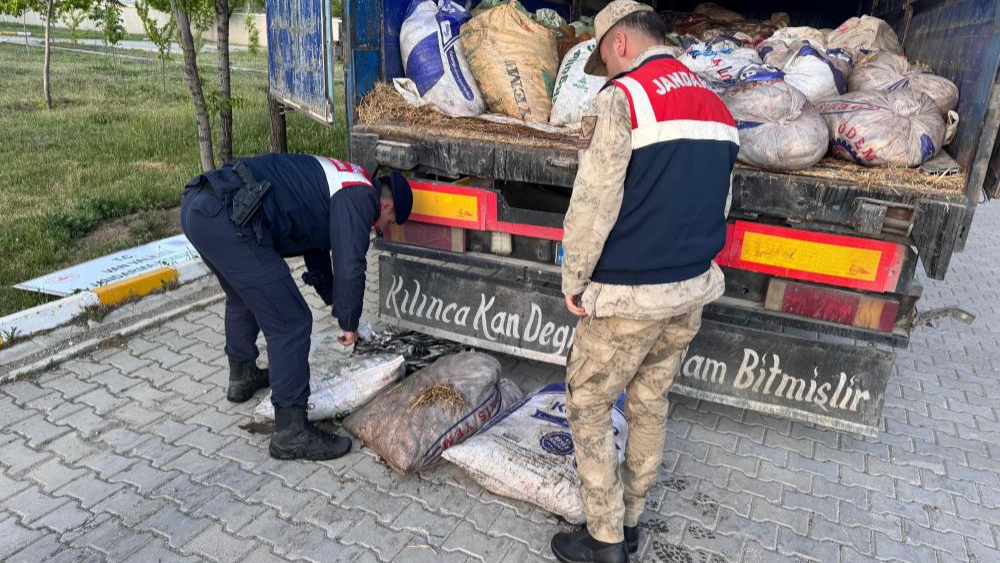 Van'da 22 ton 475 kilogram kaçak avlanmış balık ele geçirildi