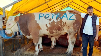 Pazarın ağır abisi "Poyraz" ilk günden satıldı