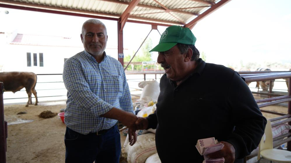 Erzincan’da Kurban Bayramı hareketliliği başladı: Hayvan pazarı sıkı pazarlıklara sahne oldu
