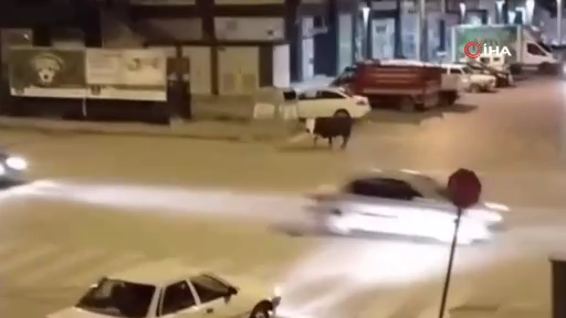Firari boğa ortalığı birbirine kattı