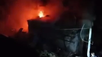 Ormanlık alanda çıkan yangın eve sıçradı