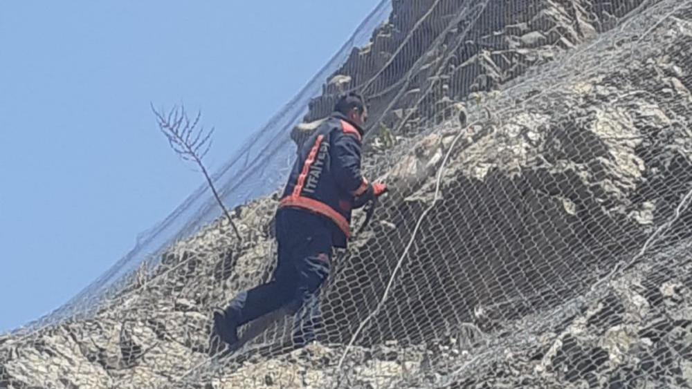 Ağa takılan 2 yaban keçisi kurtarıldı