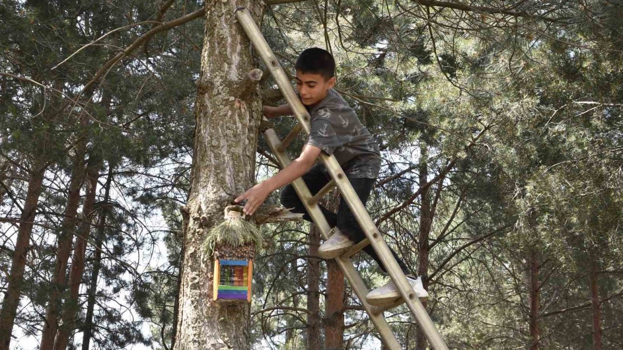 Öğrenciler atık su bidonlarından kuş yuvası yapıp millet bahçesine astı