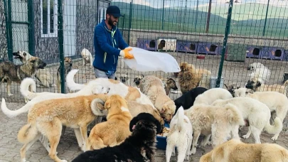 Başkan Çamliyurt, hayvan barınağını gezdi