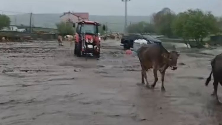 Ardahan’ı sel vurdu