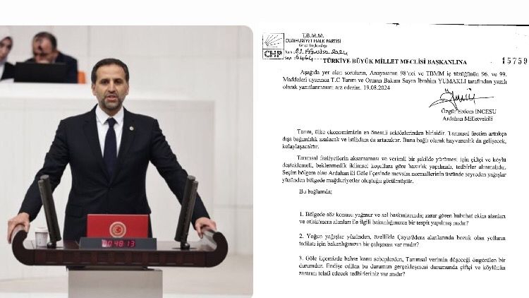 Vekil İncesu, Ardahan'ın yol çilesini Meclise taşıdı