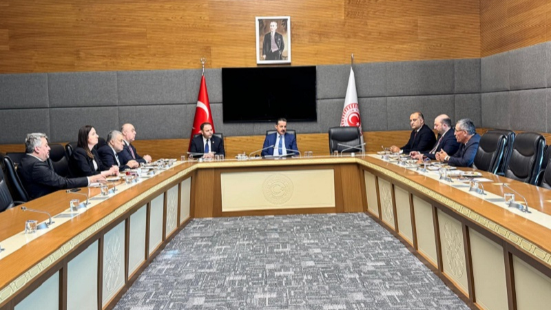 Gürcistan ile sınır ticareti masaya yatırıldı