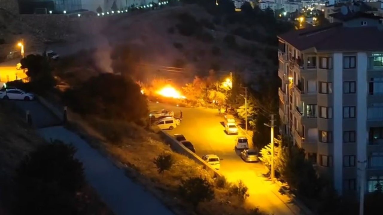 Elazığ’da ot yangını