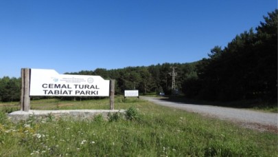 Gölebert ormanında bedava piknik dönemi bitti