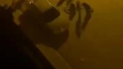 Elazığ’da bıçaklı kavga: 1 yaralı