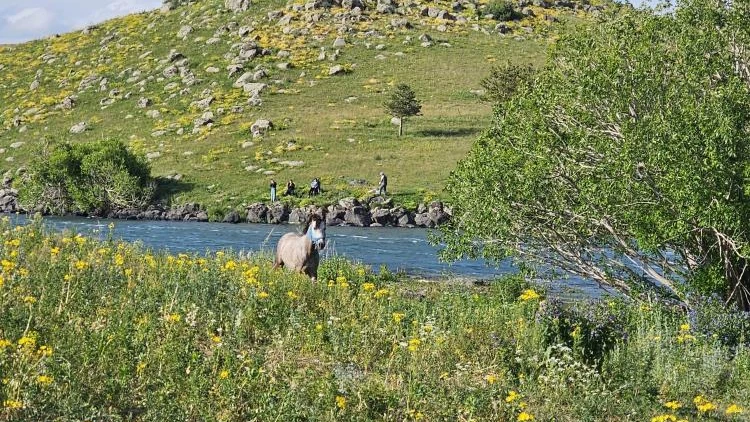 Ardahan'da mahsur kalan atı kurtarma operasyonu