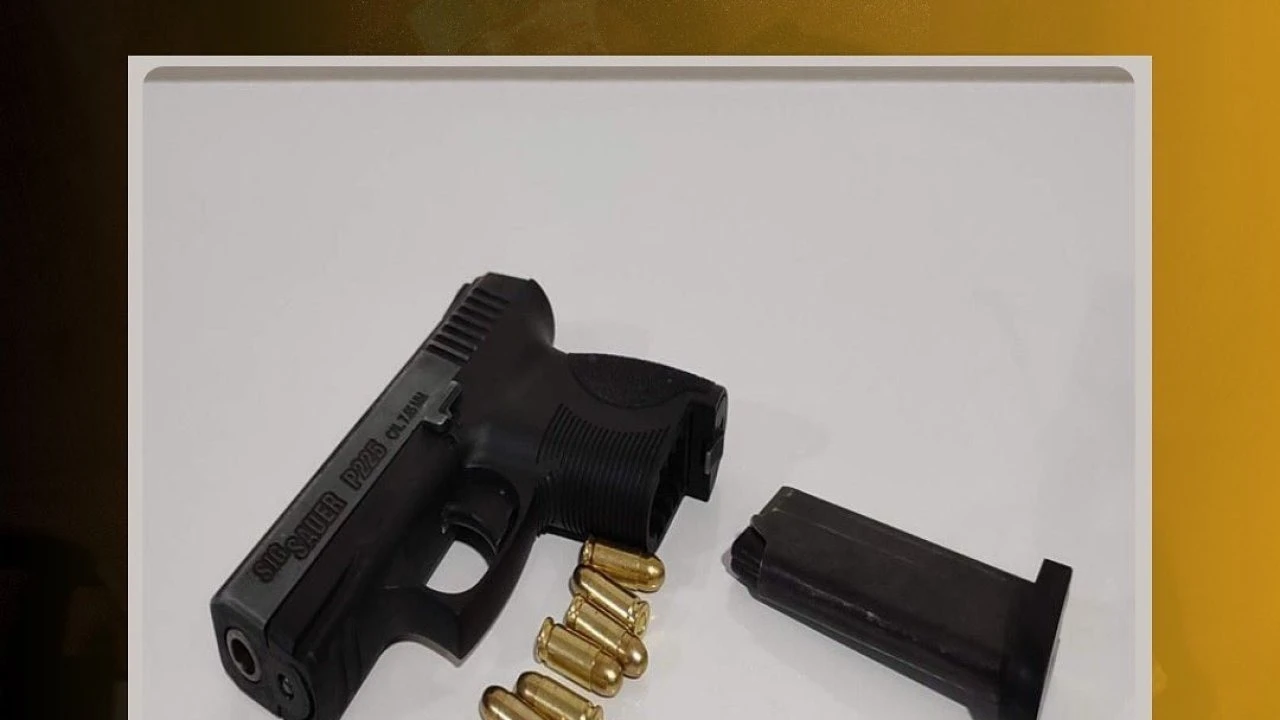 Bingöl’de ruhsatsız silah operasyonu
